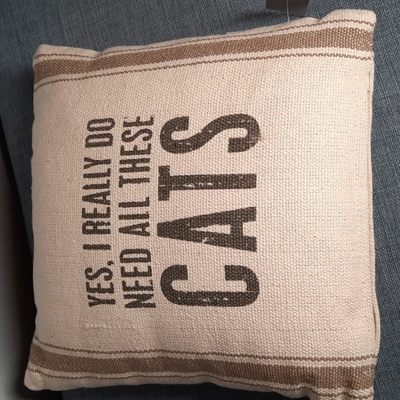 Crazy Cat Lady Gift Set Funny Pillow Cat Placemat Magnetic List Pat Cotton - Picture 7 of 10